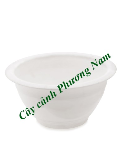 Chậu nhựa tròn 28 x 15 cm (trắng)