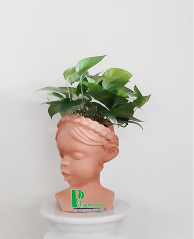 CHẬU CÂY TRẦU BÀ