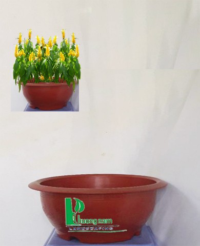 Chậu nhựa tròn 46 x 21 cm (đỏ)