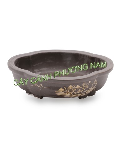 Chậu đất nung oval