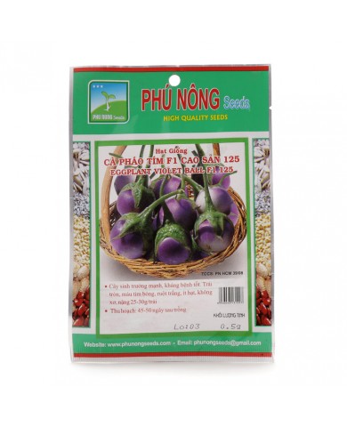 HẠT GIỐNG CÀ PHÁO TÍM F1