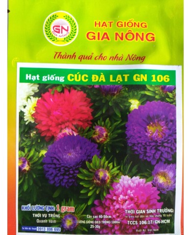 HẠT GIỐNG CÚC ĐÀ LẠT