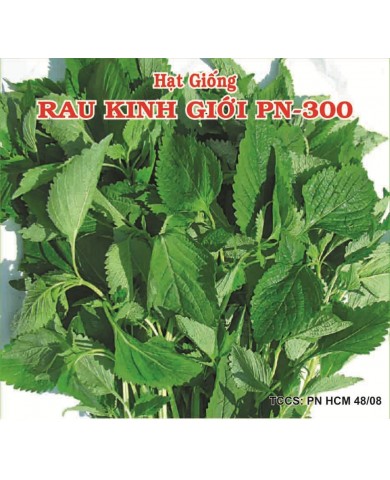 HẠT GIỐNG RAU KINH GIỚI