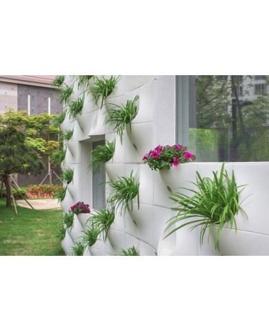 Độc đáo cách trồng rau bằng chai nhựa cực tiết kiệm