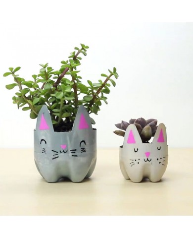 Trồng cây hoa trong chai nhựa cực đơn giản, rẻ tiền