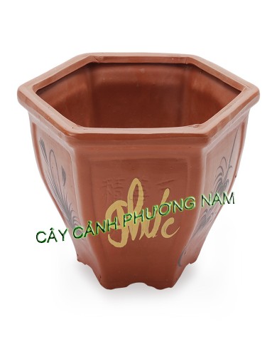 Chậu đất nung lục giác 