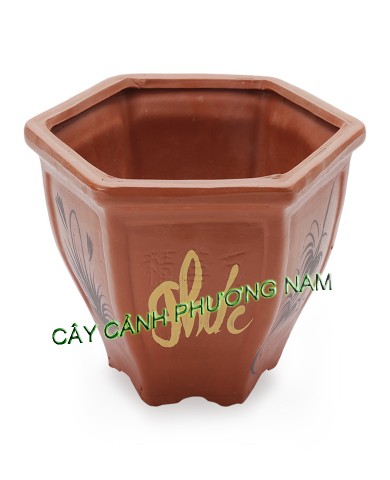 Chậu đất nung lục giác 