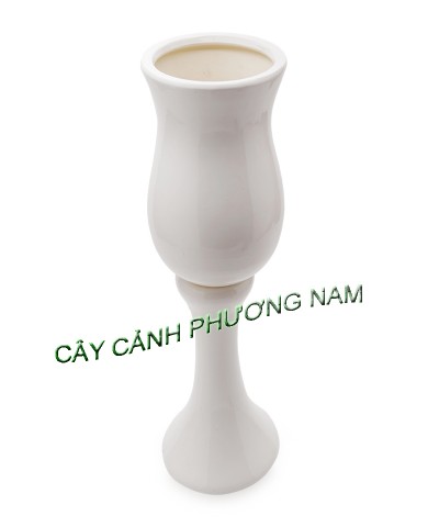 Chậu men ly 63 x 23 cm 
