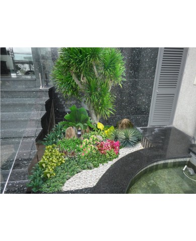 Trang trí hoa kiểng cho các sự kiện