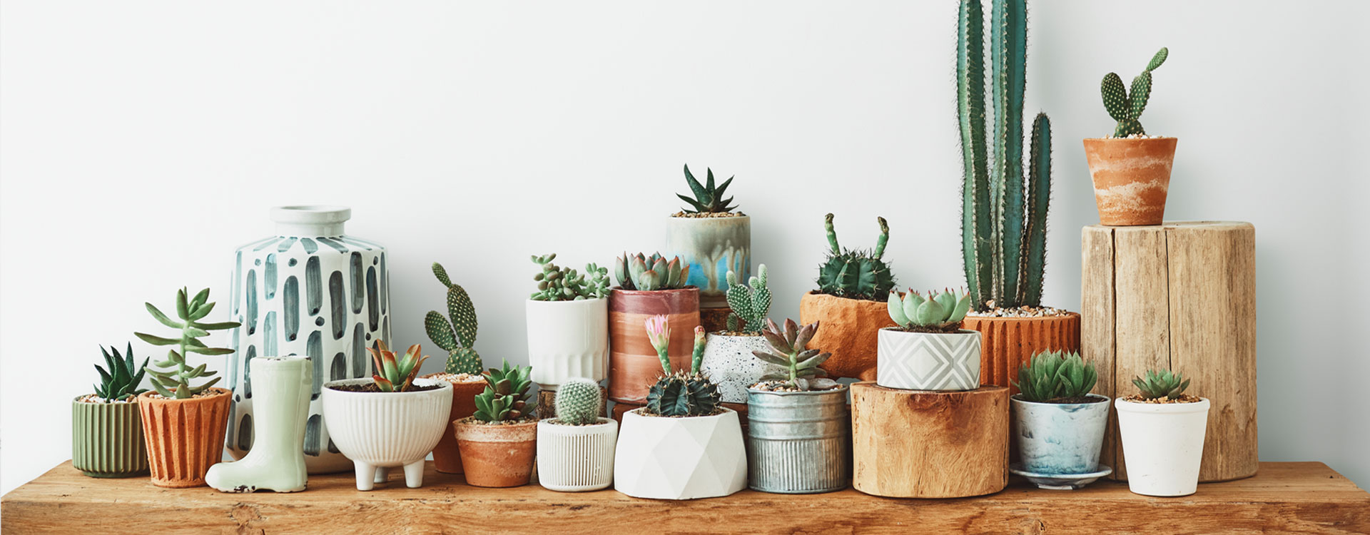 Cửa hàng Phương Nam